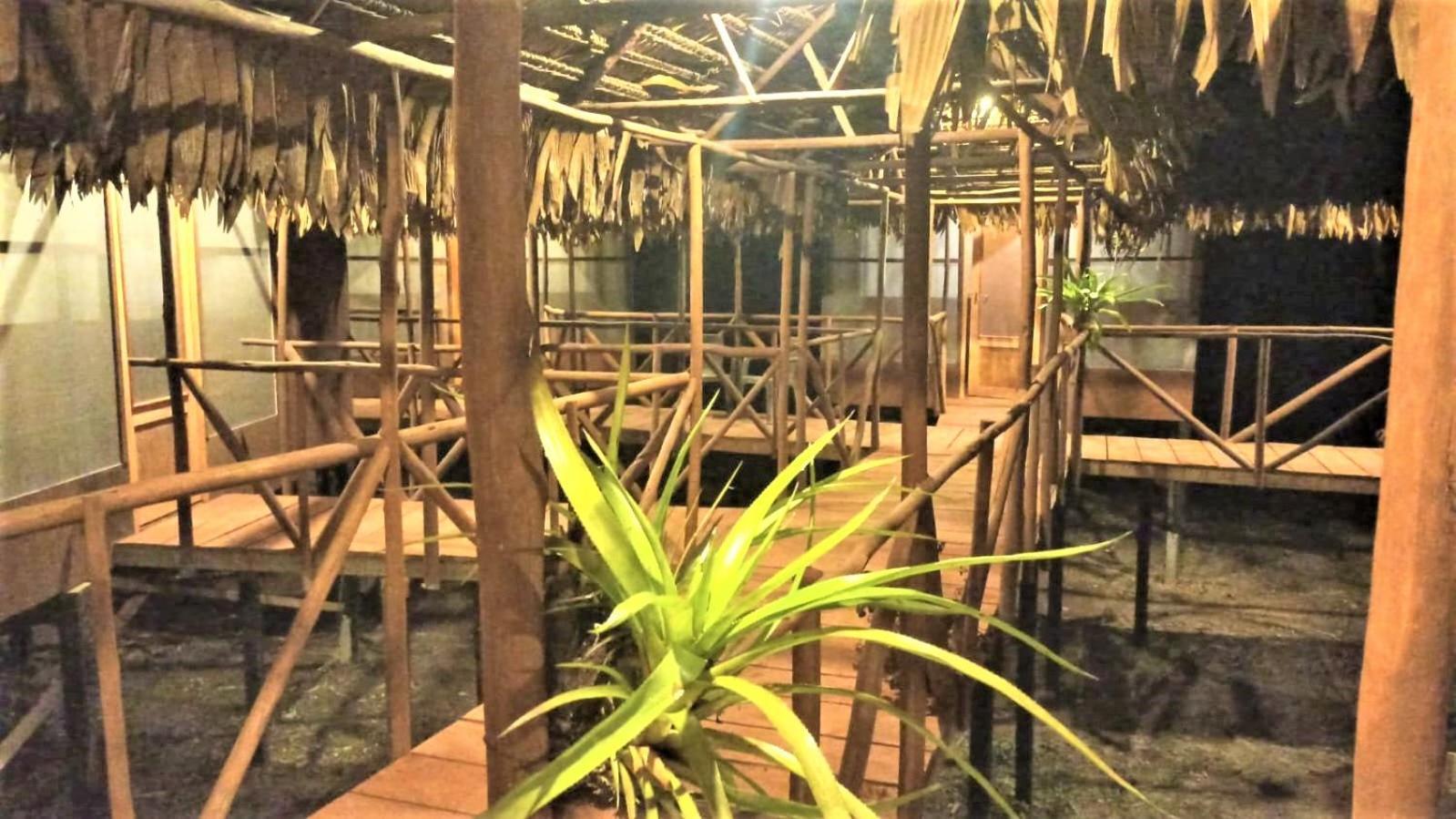 Avatar Amazon Lodge & Canopy Park Santa Teresa  Eksteriør bilde