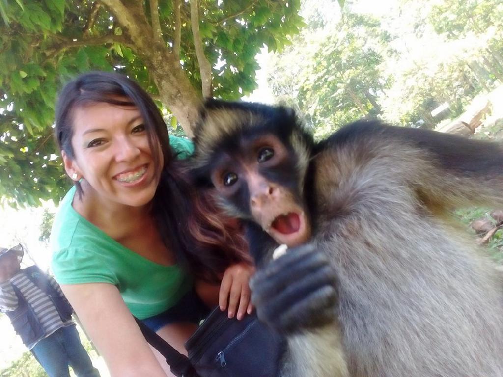 Avatar Amazon Lodge & Canopy Park Santa Teresa  Eksteriør bilde